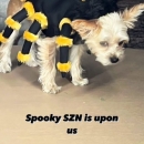 FBitD7GXoAY4WJz.jpg
