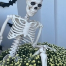 FgHOfIpX0AAlF4I.jpeg
