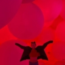 FiNExcPWQAEAhSe.jpg