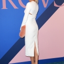 PBBR_285629~11.jpg