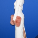 PBBR_287629~8.jpg