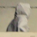 Filename=PHBBR3~374.jpg
Filesize=30KiB
Dimensions=288x313
Date added=May 30, 2026 PHBBR3~374.jpg