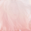 elle33.png
