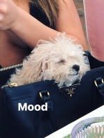 h_ig_2~0.jpg