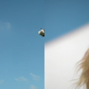 h_m736.png