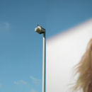 h_m738.png