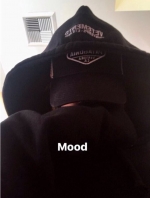 h_stories~4.jpg