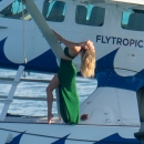 pbbr461.jpg