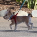 Filename=pbbr5~281.jpg
Filesize=267KiB
Dimensions=1062x804
Date added=Mar 31, 2019 pbbr5~281.jpg