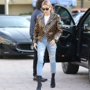 Filename=pbbr_hj074.JPG
Filesize=3353KiB
Dimensions=3458x4424
Date added=Jan 20, 2019 pbbr_hj074.JPG