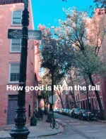 st_nxkjxn.jpg
