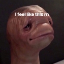 st_vkldmkp.jpg