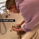 thebiebers111~2.png