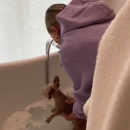 thebiebers406~2.png