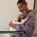 thebiebers414~2.png