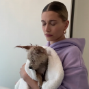 thebiebers427~2.png