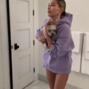 thebiebers61~2.png