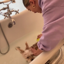 thebiebers81~1.png